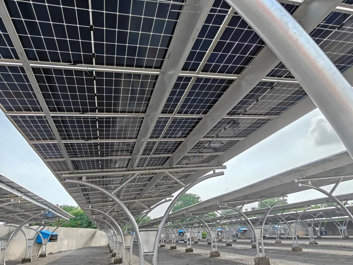 Completed 641 kW solar carport for Care Group, Vadodara, seen from beneath the bifacial panels
